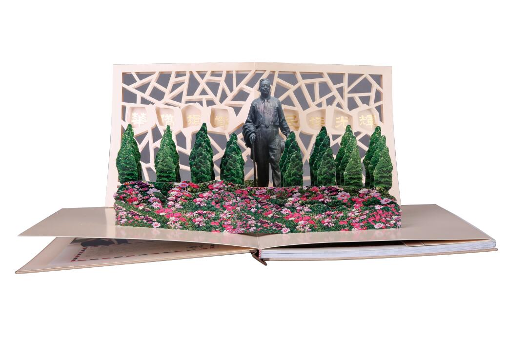 3D立体书、手工书