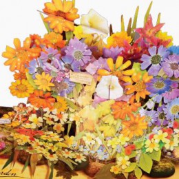 3D立体书、手工书